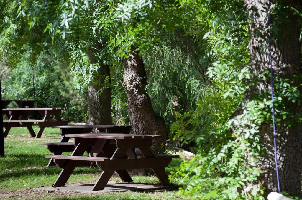 فندق Adelaide Brownhill Creek Tourist Park المظهر الخارجي الصورة