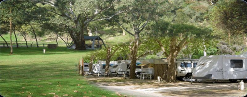 فندق Adelaide Brownhill Creek Tourist Park المظهر الخارجي الصورة